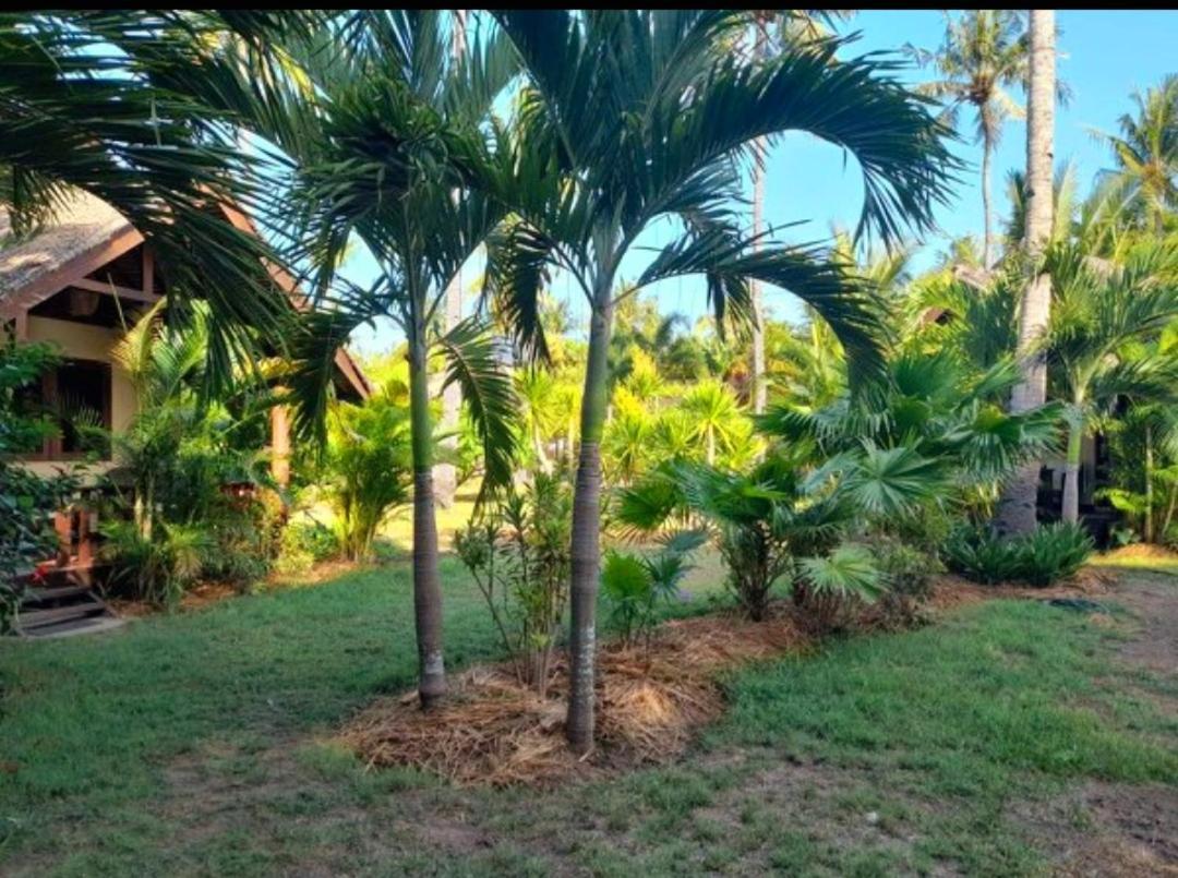 Rumah Sunyi Quần đảo Gili Ngoại thất bức ảnh